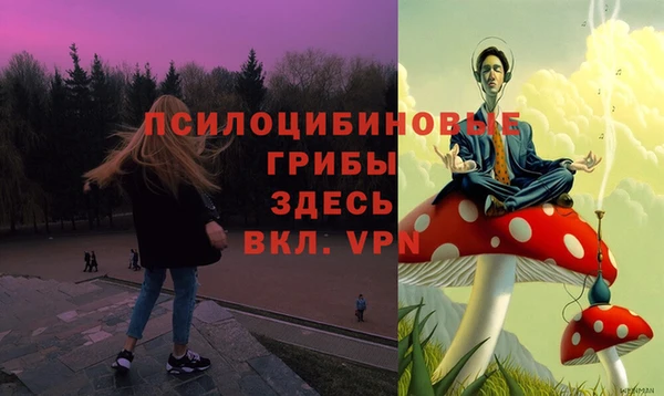 ГАЛЛЮЦИНОГЕННЫЕ ГРИБЫ Алзамай