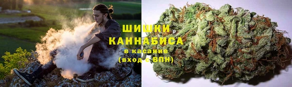 ГАЛЛЮЦИНОГЕННЫЕ ГРИБЫ Алзамай
