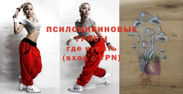 ГАЛЛЮЦИНОГЕННЫЕ ГРИБЫ Алзамай