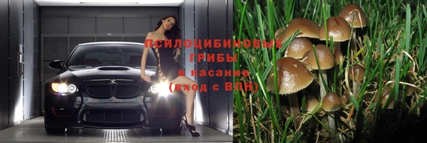 ГАЛЛЮЦИНОГЕННЫЕ ГРИБЫ Алзамай