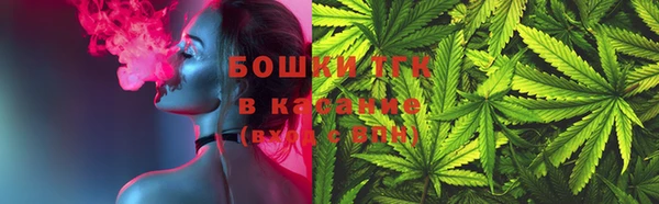 ГАЛЛЮЦИНОГЕННЫЕ ГРИБЫ Алзамай
