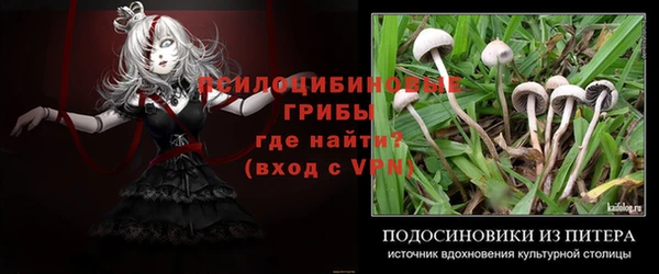 2c-b Алексеевка