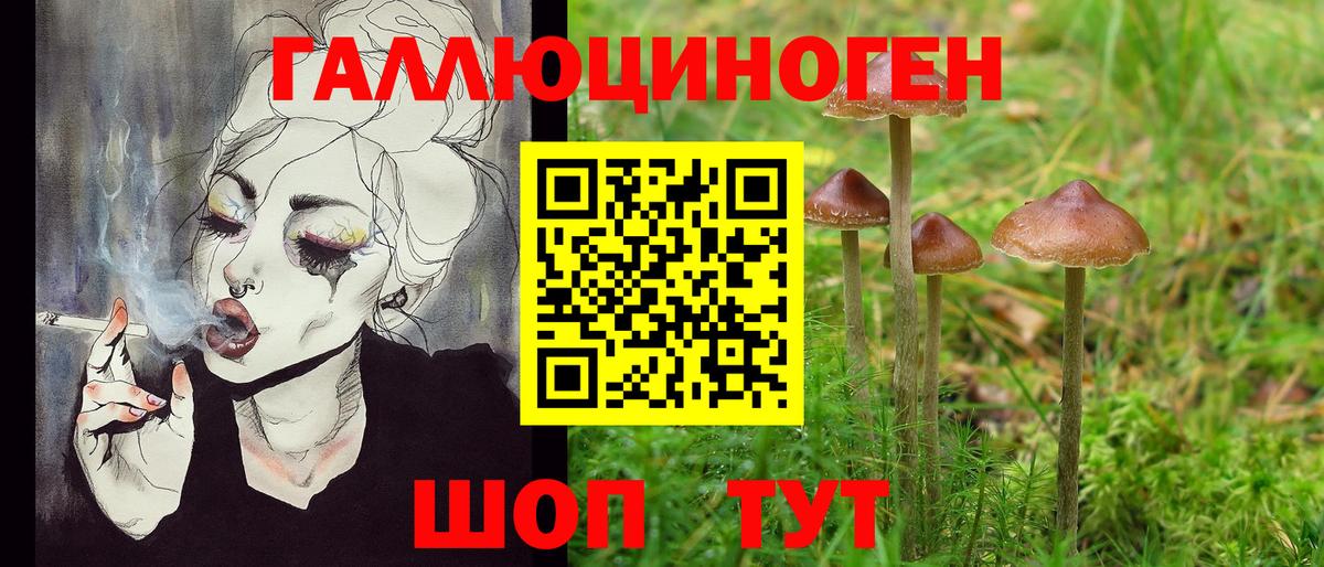 Галлюциногенные грибы Cubensis Дзержинский