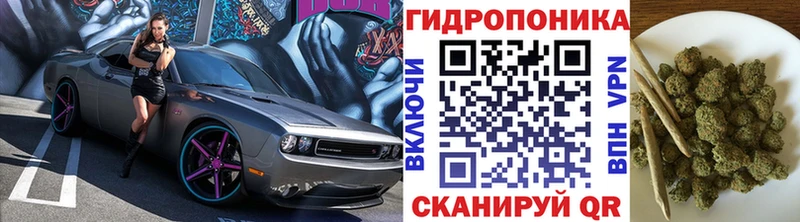 Шишки марихуана OG Kush Дзержинский